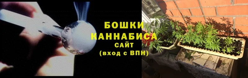 Бошки марихуана OG Kush  omg как войти  Покров 